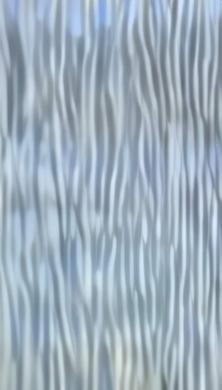 3 In Situ, Alex Fischer — 2021